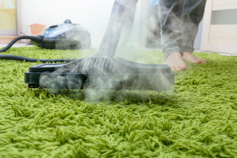 usuwania roztoczy na dywanie